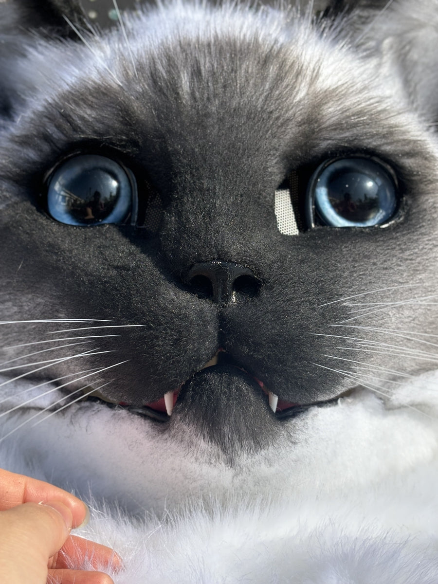 [Premade] Siamese Cat Realistic Fursuit Head Movable Jaw