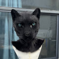 [Premade] Black Panther Realistic Fursuit Head Movable Jaw