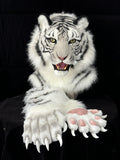 [Premade] White Tiger Realistic Fursuit Head and Paws Movable Jaw