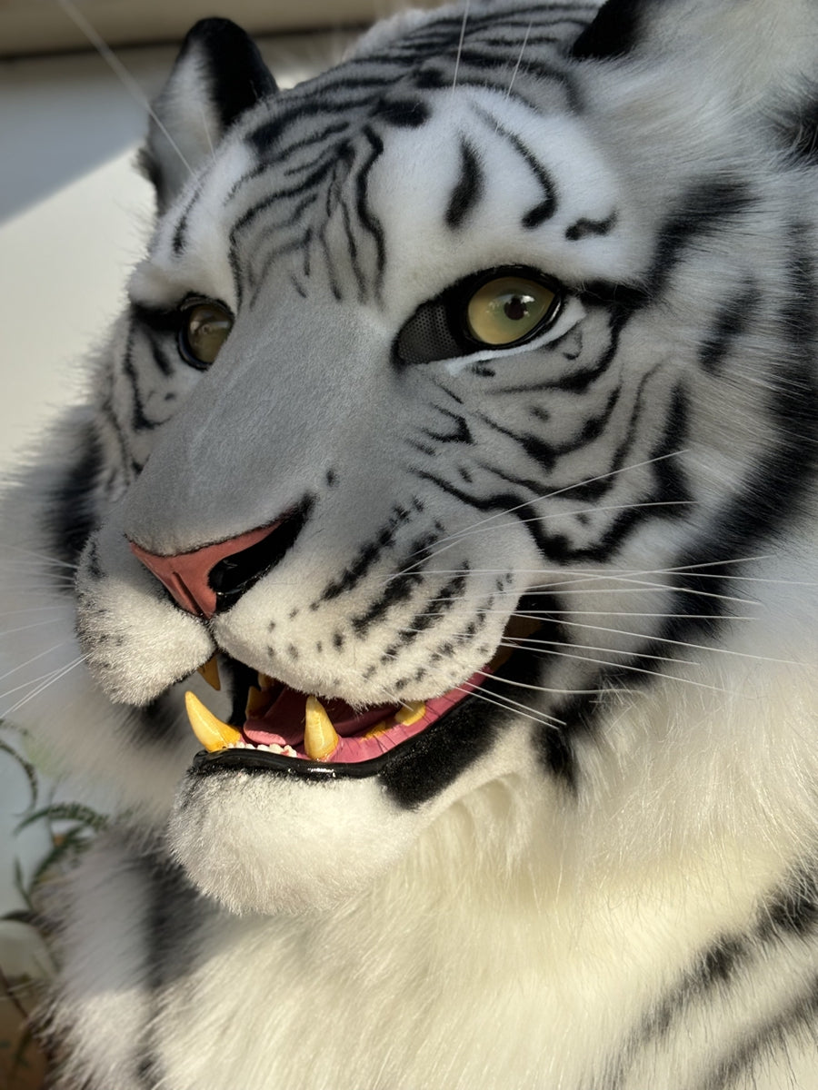 [Premade] White Tiger Realistic Fursuit Head and Paws Movable Jaw
