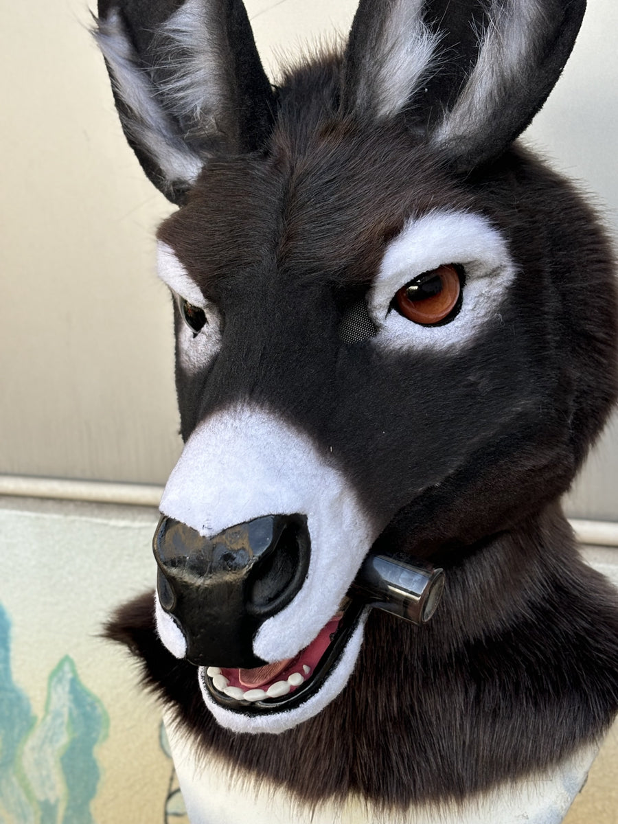 [Premade] Donkey Realistic Fursuit Head Movable Jaw