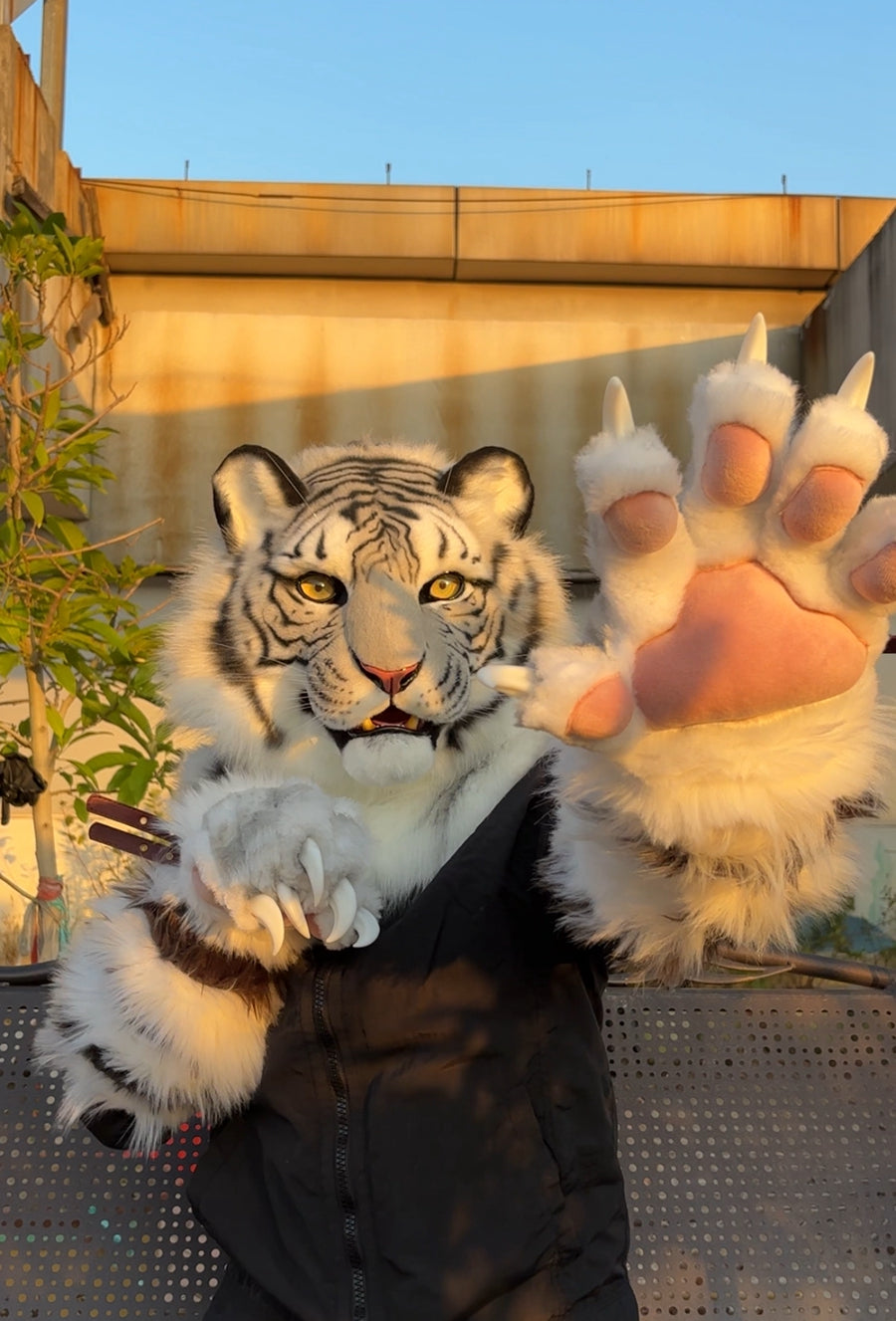 [Premade] White Tiger Realistic Fursuit Head and Paws Movable Jaw