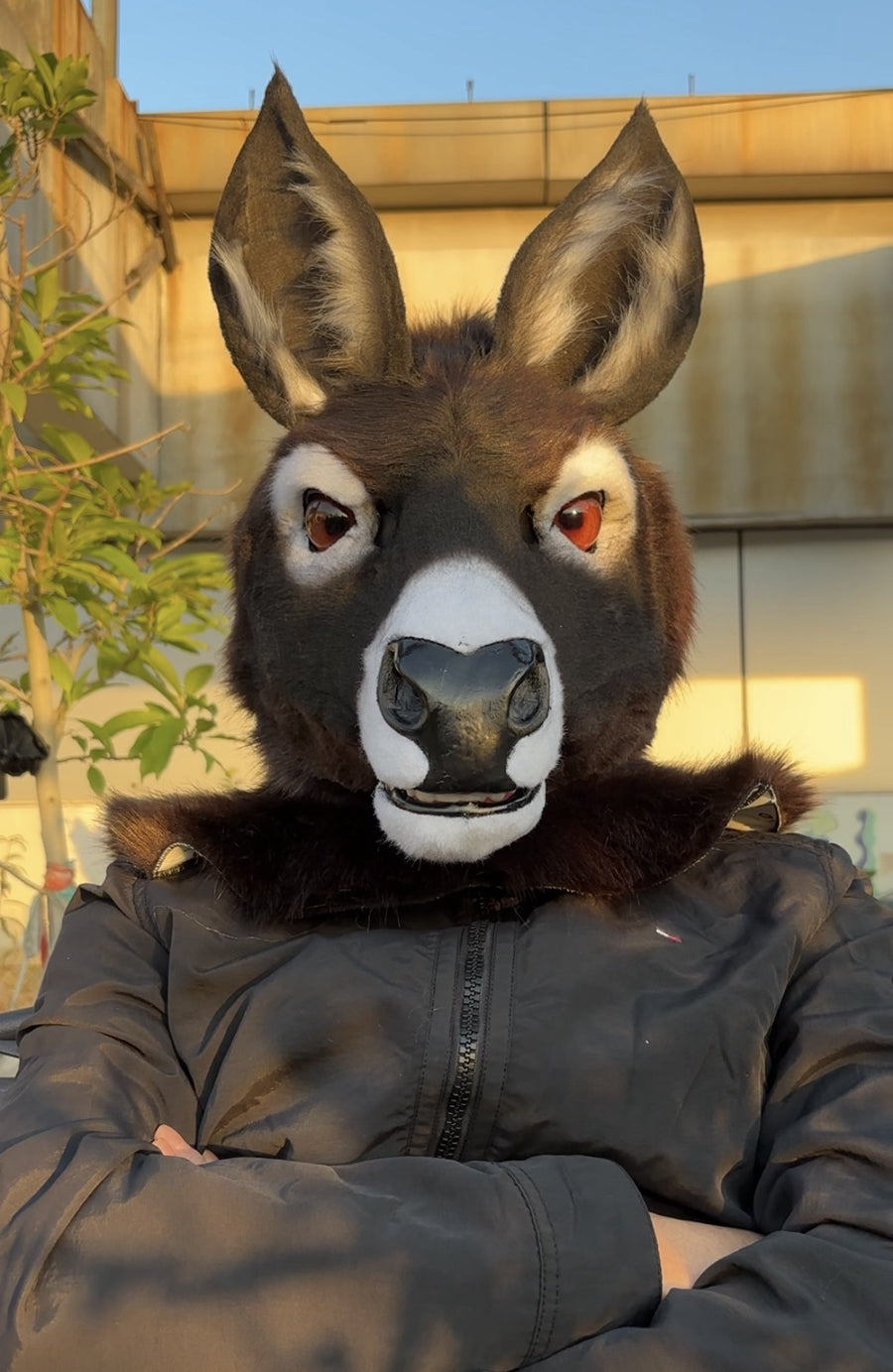 [Premade] Donkey Realistic Fursuit Head Movable Jaw