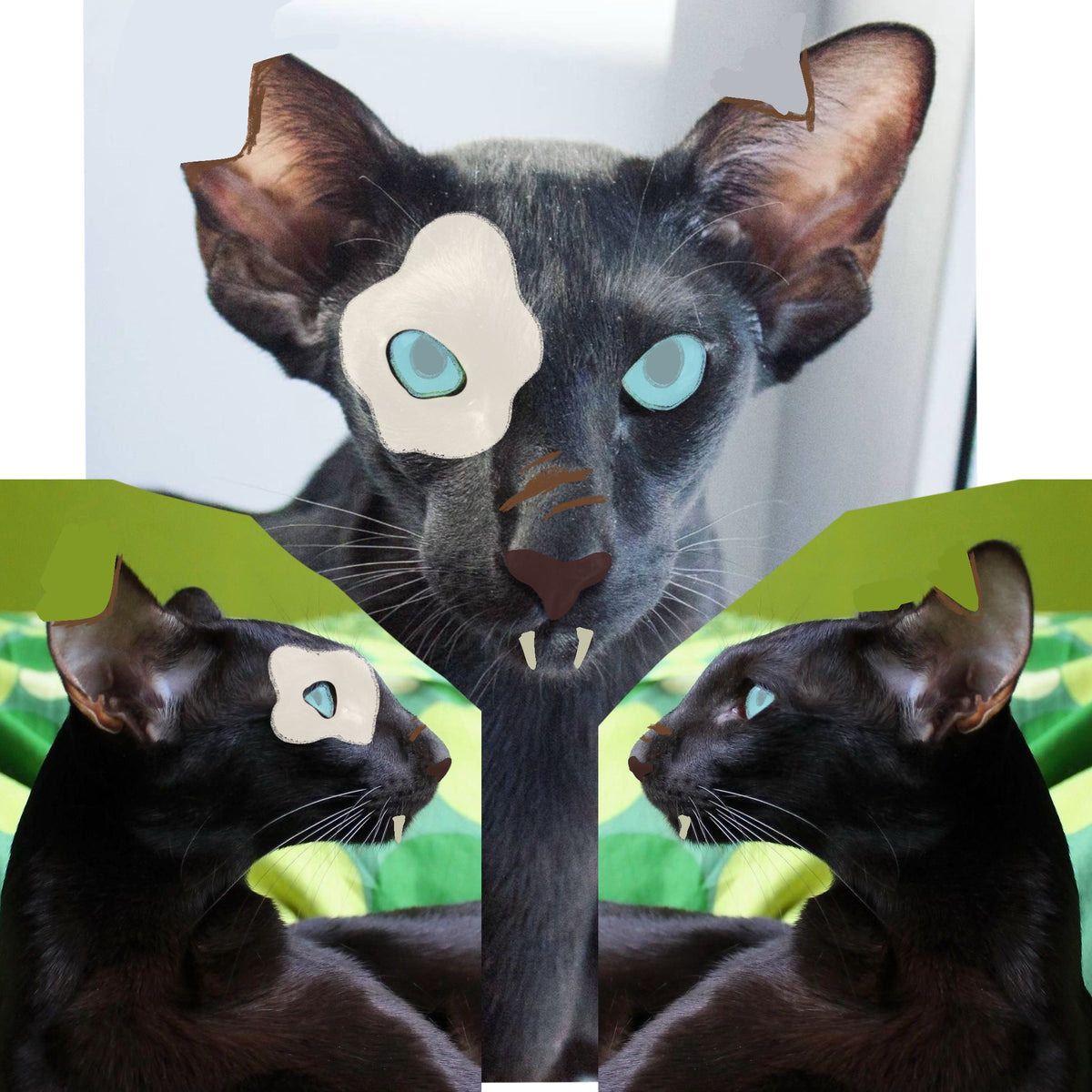 [Commissions] Oriental Shorthair Cat Realistic Fursuit Head