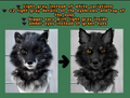 [Commission] Gray Wolf Fursuit Head