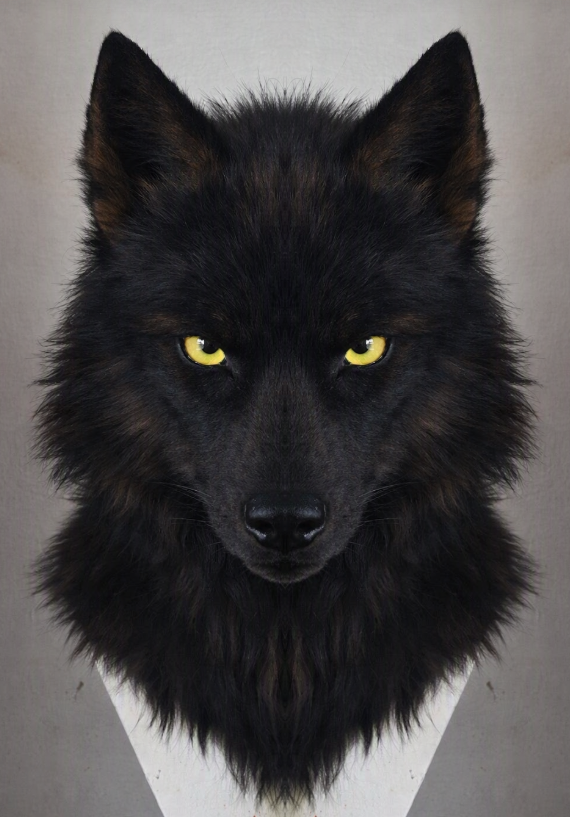 [Commissions] Brown/black Fursuit Head and Tail